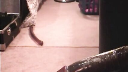 Худая блондинка с огромным толстым черным членом в анале