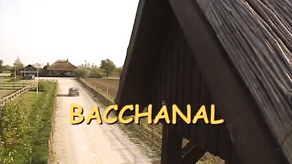 Вакханалия | Private X-treme Bacchanal (2002) онлайн с русским переводом!