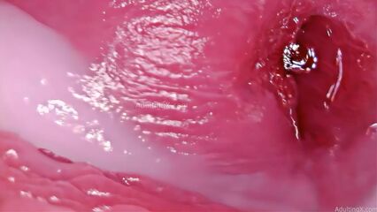 Камера внутри влагалища запечатлела как кончает член