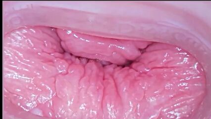 Камера внутри влагалища запечатлела как кончает член