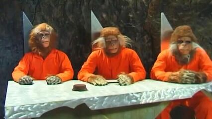 Планета обезьян | Planet of the Babes (2001) порно кино